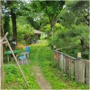 천만애능이백숙 이미지