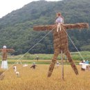 거제팜스테이