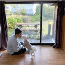 제쥬엔