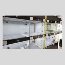 분당 요미독앤캣 강아지분양 고양이분양 이미지