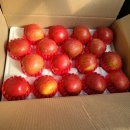 송림농원 이미지