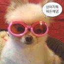 오눌 Daum카페