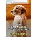 웰니스클리닉(청계천점) 이미지