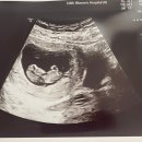 에디스여성병원 이미지