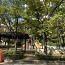 석천초등학교+은조유치원 이미지