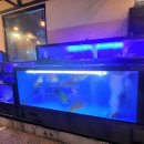 탑스텐빌라드애월 이미지