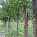 장승공원 이미지