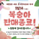 조치원버스터미널 | 조치원복숭아축제 1일차 분위기 폭염꿀팁 및 구매가능한 복숭아종류는?