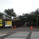 매화마트 네이버블로그