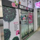 2층써밋약국 이미지