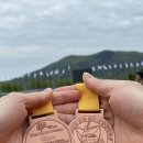 보성공설운동장 | 보성마라톤 제20회 10km 후기