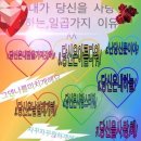 다이렉트투어 이미지