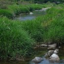 현대민박 이미지