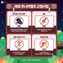 에듀주니어