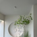 감성온도광안 이미지