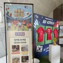 성숙한 스토어 | 2026 북중미 월드컵 거리 단체 응원전 정보 뚝섬 한강플플 르르르 팝업 방문 후기