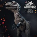 베이비프라임 이미지