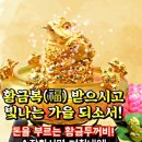 월, 금전문 활짝~열어주는 '황금 福두꺼비' 💰 이미지