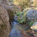 2025 아차산 해맞이 축제 | 2025 아차산 해맞이 축제에서 새해 첫 일출을 함께해요! 🌅