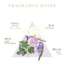 W- [상견례 #2] 상견례 선물 준비 | 듀퐁 혼주 넥타이,닥스 스카프, 산타마리아노벨라 핸드워시