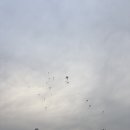 밤마실 | 가야문화축제 해반천걷기행사 허왕후와 함께하는 밤 마실 참가후기