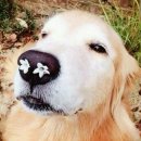 한우목장 이미지