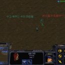 스팀팩 Daum카페