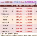 스카이블루 이미지