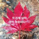 서귀포노인복지관 이미지