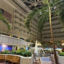 스타짐(STAR GYM) | [올랜도 국제공항 호텔 후기] 하얏트 리젠시 올랜도 인터네셔널 에어포트 호텔 숙박! (크루즈 전날 숙박...