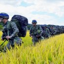 들녘 옷 이미지