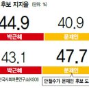 18대 대통령선거 여론조사의 虛와 實 이미지