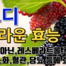 뽕나무영농조합법인