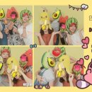 곱닥허개 이미지