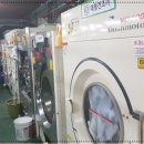 대덕세탁소 이미지