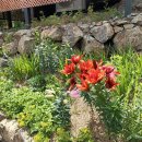 세컨드원 너와 이미지