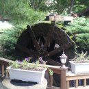 금화고속관광 이미지