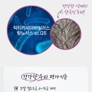 에스씨큐 이미지