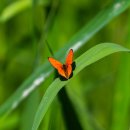 안터생태공원 이미지