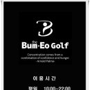 더범어골프 이미지