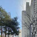 하늘빛마을(7단지) | 율정마을7단지도어락 설치 후기, 옥정도어락으로 복조리 의미까지 담아드렸습니다