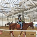 교하운정스카이승마장 이미지