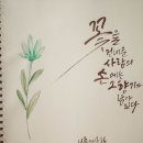 마스터캘리포토그라피