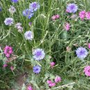 어답산농장 이미지