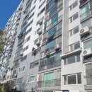 갈마아파트3단지31880) | 대전 유성구 코킹 갈마아파트 건물 전체 외벽 보수 시공 후기