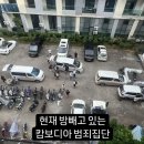 캄보디아 가서 계속 납치당하는 이유 이미지