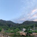 봄 시즌 2th 제천 금수산 이미지