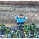 오진농장 이미지