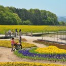 신라고등학교 이미지