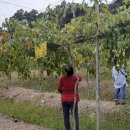 오광농장 이미지